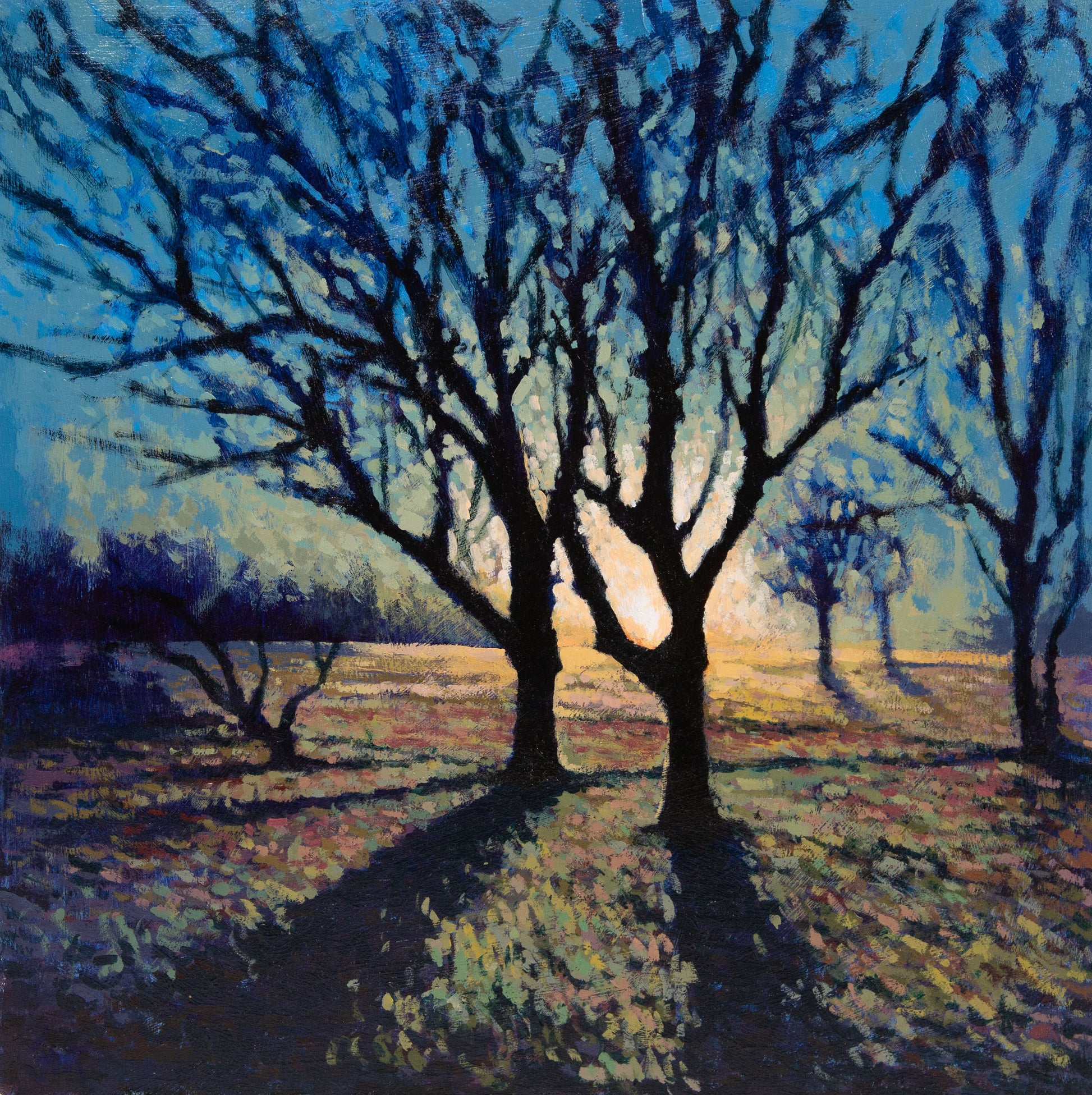 Winters first light