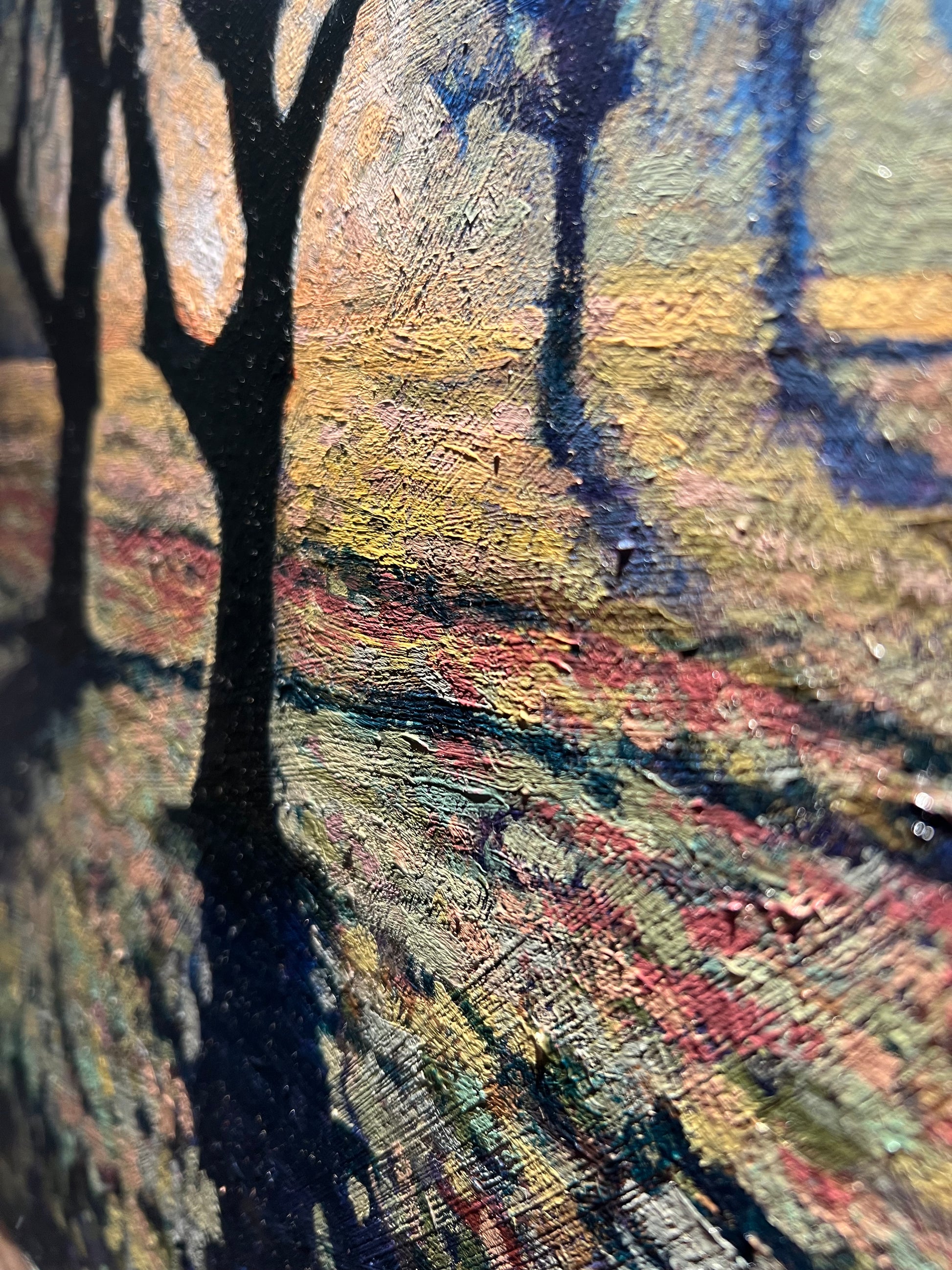 Winters first light