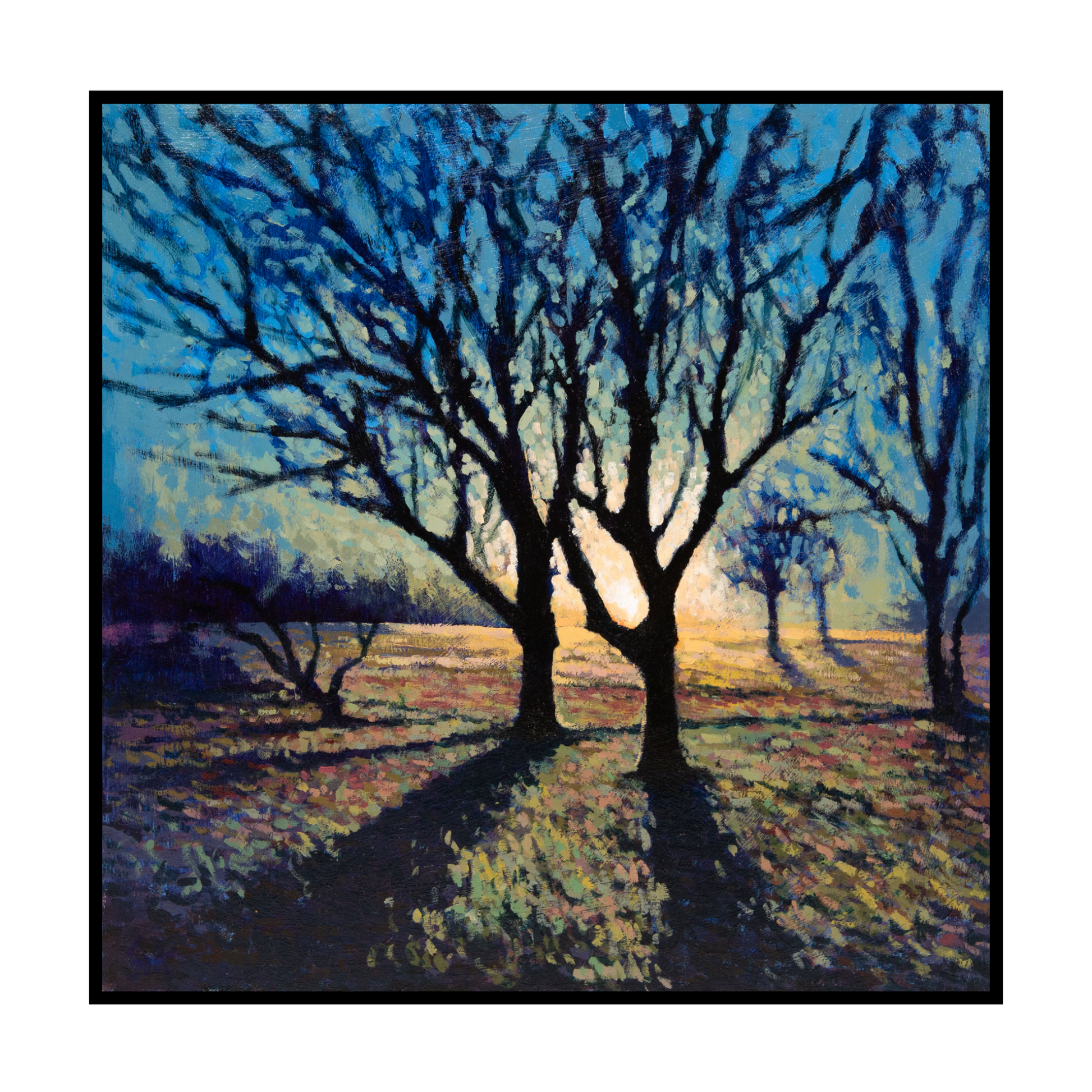 Winters first light